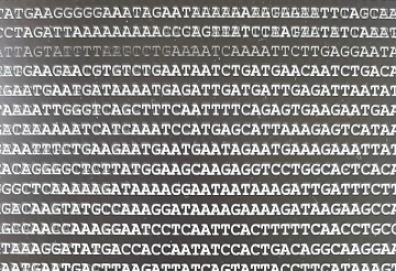 Assembling the genome by Peri Tobias University of Sydney2