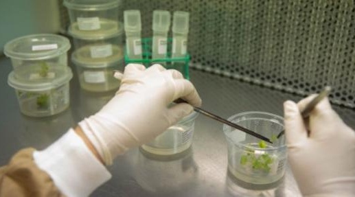 Auckland20Plant20Health20and20Environment20Lab 9245 JPG2 Cropped2